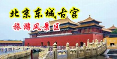 插B操B中国北京-东城古宫旅游风景区